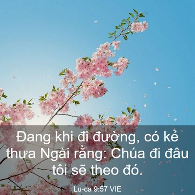 Picture 03 - Lu-ca 9:57 VIE - Đang khi đi đường, có kẻ thưa Ngài - Bible Verse Picture