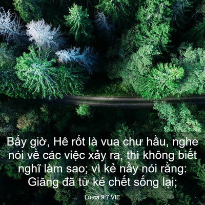Picture 03 - Lu-ca 9:7 VIE - Bấy giờ, Hê rốt là vua chư hầu, nghe - Bible Verse Picture