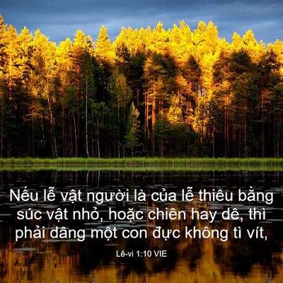 Picture 03 - Lê-vi 1:10 VIE - Nếu lễ vật người là của lễ thiêu - Bible Verse Picture