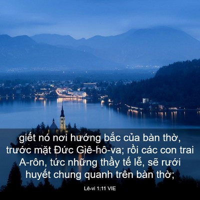 Picture 03 - Lê-vi 1:11 VIE - giết nó nơi hướng bắc của bàn thờ, - Bible Verse Picture