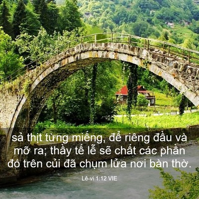Picture 03 - Lê-vi 1:12 VIE - sả thịt từng miếng, để riêng đầu - Bible Verse Picture