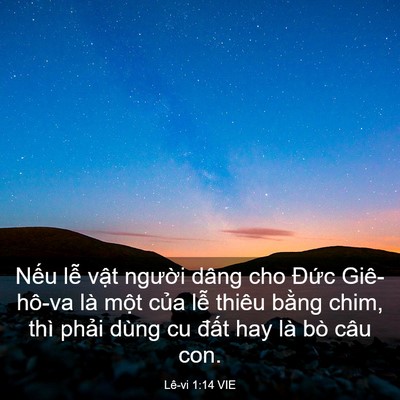 Picture 03 - Lê-vi 1:14 VIE - Nếu lễ vật người dâng cho Đức - Bible Verse Picture