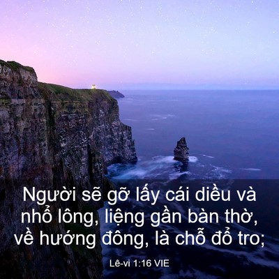 Picture 03 - Lê-vi 1:16 VIE - Người sẽ gỡ lấy cái diều và nhổ - Bible Verse Picture