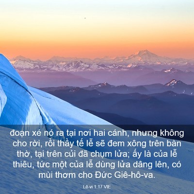 Picture 03 - Lê-vi 1:17 VIE - đoạn xé nó ra tại nơi hai cánh, nhưng - Bible Verse Picture