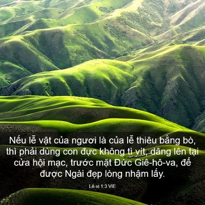 Picture 03 - Lê-vi 1:3 VIE - Nếu lễ vật của ngươi là của lễ - Bible Verse Picture