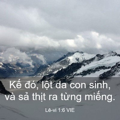 Picture 03 - Lê-vi 1:6 VIE - Kế đó, lột da con sinh, và sả thịt ra - Bible Verse Picture
