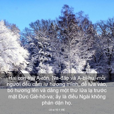 Picture 03 - Lê-vi 10:1 VIE - Hai con trai A-rôn, Na-đáp và A-bi-hu, mỗi - Bible Verse Picture