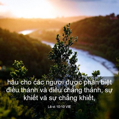 Picture 03 - Lê-vi 10:10 VIE - hầu cho các ngươi được phân biệt - Bible Verse Picture