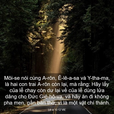 Picture 03 - Lê-vi 10:12 VIE - Môi-se nói cùng A-rôn, Ê-lê-a-sa và - Bible Verse Picture