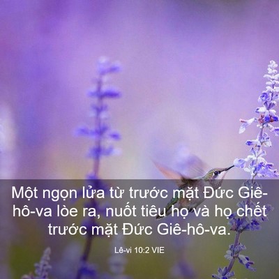 Picture 03 - Lê-vi 10:2 VIE - Một ngọn lửa từ trước mặt Đức - Bible Verse Picture