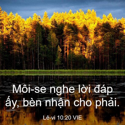 Picture 03 - Lê-vi 10:20 VIE - Môi-se nghe lời đáp ấy, bèn nhận cho - Bible Verse Picture