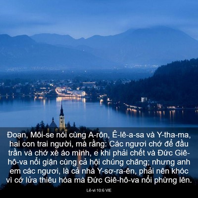 Picture 03 - Lê-vi 10:6 VIE - Đoạn, Môi-se nói cùng A-rôn, Ê-lê-a-sa - Bible Verse Picture