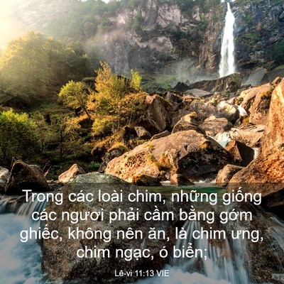 Picture 03 - Lê-vi 11:13 VIE - Trong các loài chim, những giống các - Bible Verse Picture