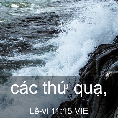 Picture 03 - Lê-vi 11:15 VIE - các thứ - Bible Verse Picture