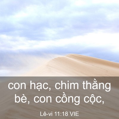 Picture 03 - Lê-vi 11:18 VIE - con hạc, chim thằng bè, con cồng - Bible Verse Picture