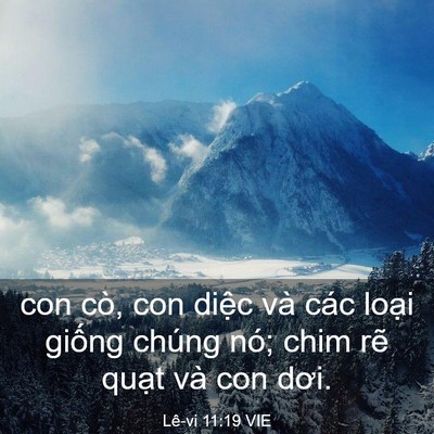 Picture 03 - Lê-vi 11:19 VIE - con cò, con diệc và các loại giống - Bible Verse Picture