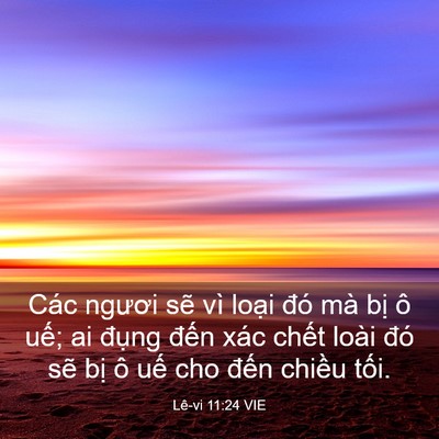 Picture 03 - Lê-vi 11:24 VIE - Các ngươi sẽ vì loại đó mà bị ô - Bible Verse Picture