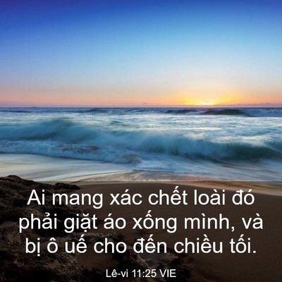 Picture 03 - Lê-vi 11:25 VIE - Ai mang xác chết loài đó phải giặt áo - Bible Verse Picture