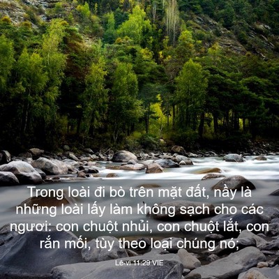 Picture 03 - Lê-vi 11:29 VIE - Trong loài đi bò trên mặt đất, nầy là - Bible Verse Picture