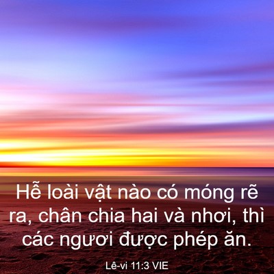 Picture 03 - Lê-vi 11:3 VIE - Hễ loài vật nào có móng rẽ ra, chân - Bible Verse Picture