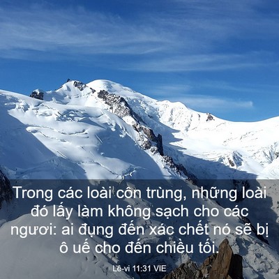 Picture 03 - Lê-vi 11:31 VIE - Trong các loài côn trùng, những loài đó - Bible Verse Picture