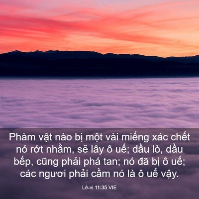 Picture 03 - Lê-vi 11:35 VIE - Phàm vật nào bị một vài miếng xác - Bible Verse Picture
