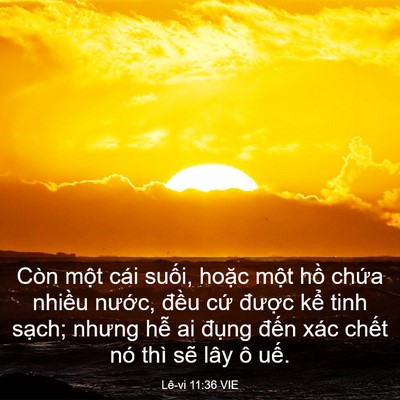 Picture 03 - Lê-vi 11:36 VIE - Còn một cái suối, hoặc một hồ chứa - Bible Verse Picture