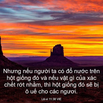 Picture 03 - Lê-vi 11:38 VIE - Nhưng nếu người ta có đổ nước trên - Bible Verse Picture