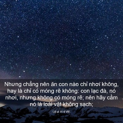 Picture 03 - Lê-vi 11:4 VIE - Nhưng chẳng nên ăn con nào chỉ nhơi - Bible Verse Picture