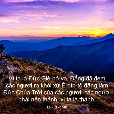 Picture 03 - Lê-vi 11:45 VIE - Vì ta là Đức Giê-hô-va, Đấng đã đem - Bible Verse Picture