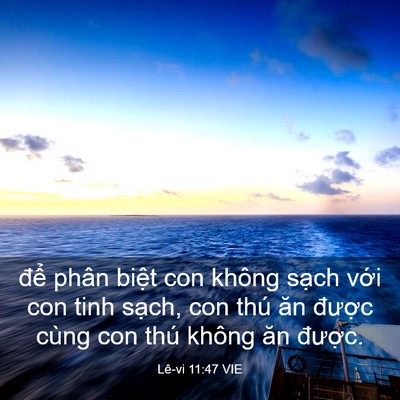 Picture 03 - Lê-vi 11:47 VIE - để phân biệt con không sạch với con - Bible Verse Picture