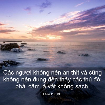 Picture 03 - Lê-vi 11:8 VIE - Các ngươi không nên ăn thịt và cũng - Bible Verse Picture