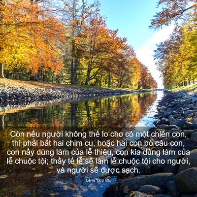 Picture 03 - Lê-vi 12:8 VIE - Còn nếu người không thế lo cho có một - Bible Verse Picture