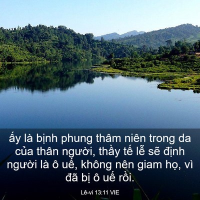 Picture 03 - Lê-vi 13:11 VIE - ấy là bịnh phung thâm niên trong da của - Bible Verse Picture