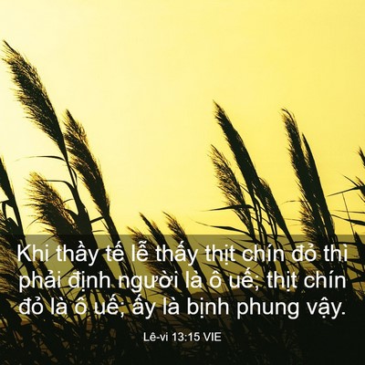 Picture 03 - Lê-vi 13:15 VIE - Khi thầy tế lễ thấy thịt chín đỏ - Bible Verse Picture