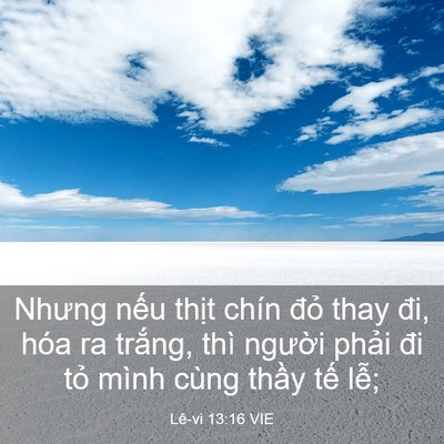 Picture 03 - Lê-vi 13:16 VIE - Nhưng nếu thịt chín đỏ thay đi, hóa ra - Bible Verse Picture