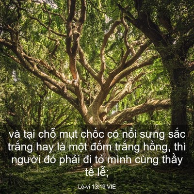 Picture 03 - Lê-vi 13:19 VIE - và tại chỗ mụt chốc có nổi sưng - Bible Verse Picture