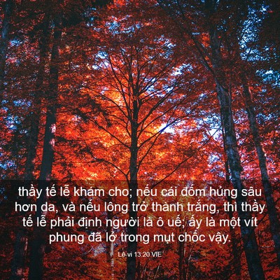 Picture 03 - Lê-vi 13:20 VIE - thầy tế lễ khám cho; nếu cái đốm - Bible Verse Picture