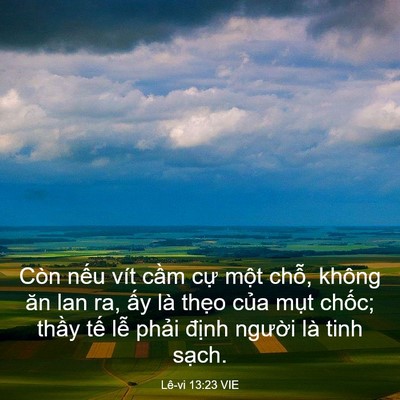 Picture 03 - Lê-vi 13:23 VIE - Còn nếu vít cầm cự một chỗ, không - Bible Verse Picture