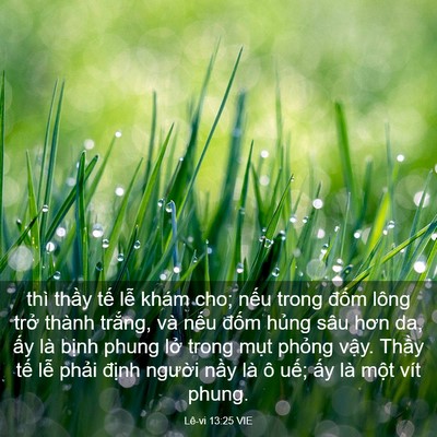 Picture 03 - Lê-vi 13:25 VIE - thì thầy tế lễ khám cho; nếu trong - Bible Verse Picture