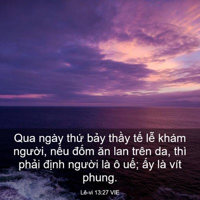 Picture 03 - Lê-vi 13:27 VIE - Qua ngày thứ bảy thầy tế lễ khám - Bible Verse Picture