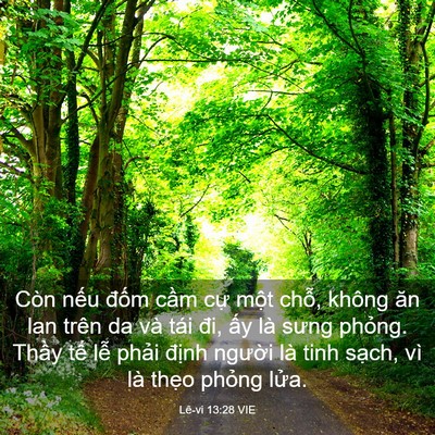 Picture 03 - Lê-vi 13:28 VIE - Còn nếu đốm cầm cự một chỗ, không - Bible Verse Picture