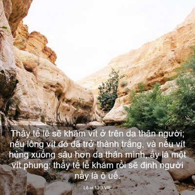 Picture 03 - Lê-vi 13:3 VIE - Thầy tế lễ sẽ khám vít ở trên da - Bible Verse Picture