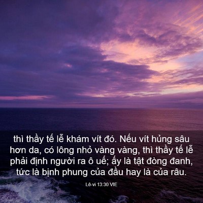 Picture 03 - Lê-vi 13:30 VIE - thì thầy tế lễ khám vít đó. Nếu vít - Bible Verse Picture