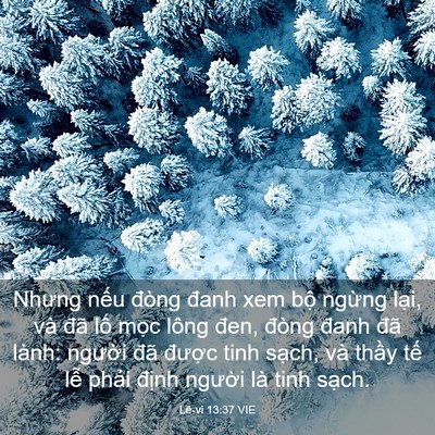 Picture 03 - Lê-vi 13:37 VIE - Nhưng nếu đòng đanh xem bộ ngừng lại, - Bible Verse Picture
