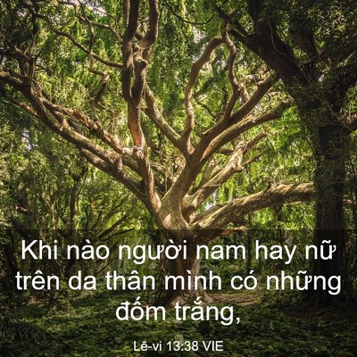 Picture 03 - Lê-vi 13:38 VIE - Khi nào người nam hay nữ trên da thân - Bible Verse Picture