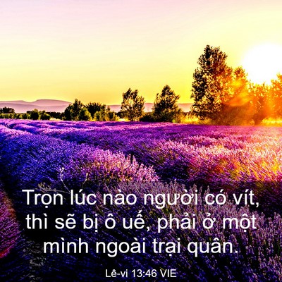 Picture 03 - Lê-vi 13:46 VIE - Trọn lúc nào người có vít, thì sẽ - Bible Verse Picture