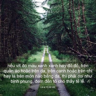 Picture 03 - Lê-vi 13:49 VIE - nếu vít đó màu xanh xanh hay đỏ đỏ, - Bible Verse Picture