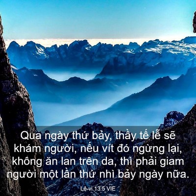 Picture 03 - Lê-vi 13:5 VIE - Qua ngày thứ bảy, thầy tế lễ sẽ - Bible Verse Picture