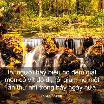 Picture 03 - Lê-vi 13:54 VIE - thì người hãy biểu họ đem giặt món - Bible Verse Picture